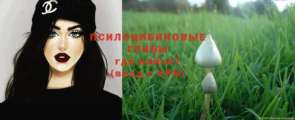 спиды Новодвинск