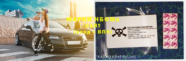 спиды Новодвинск