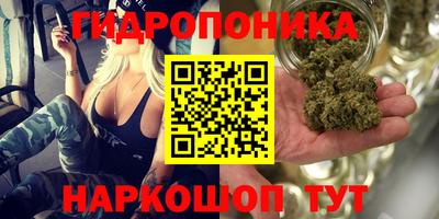 ALPHA PVP Аргун