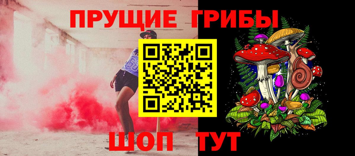 Батайск  Галлюциногенные грибы Psilocybine cubensis  Вход с VPN 