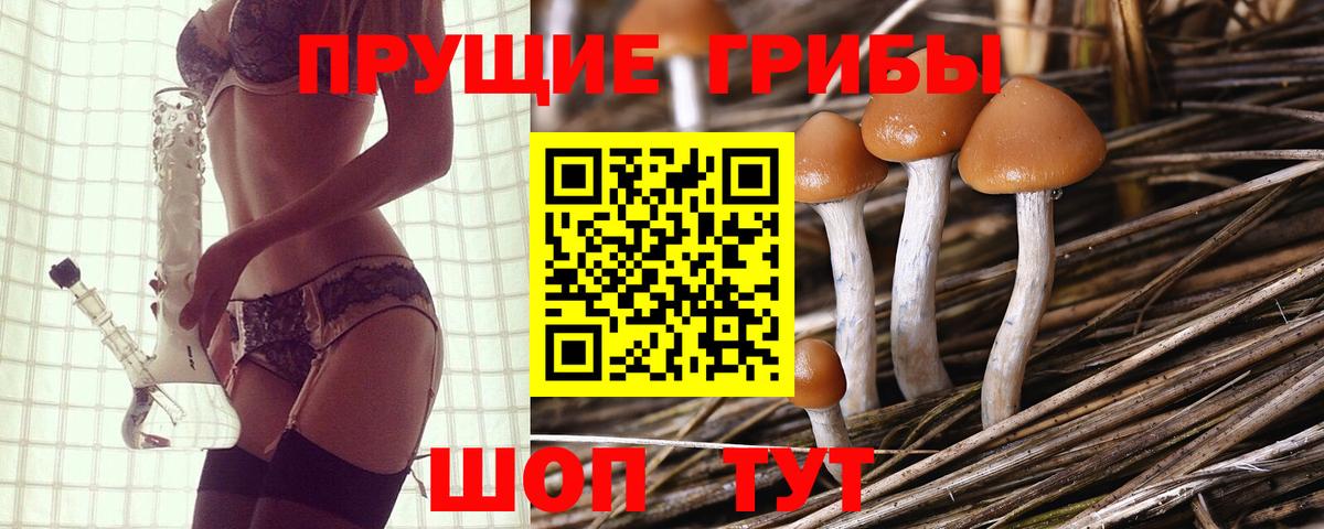 Псилоцибиновые грибы прущие грибы Батайск